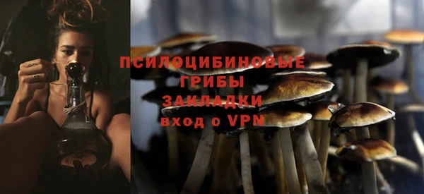 кокс Няндома