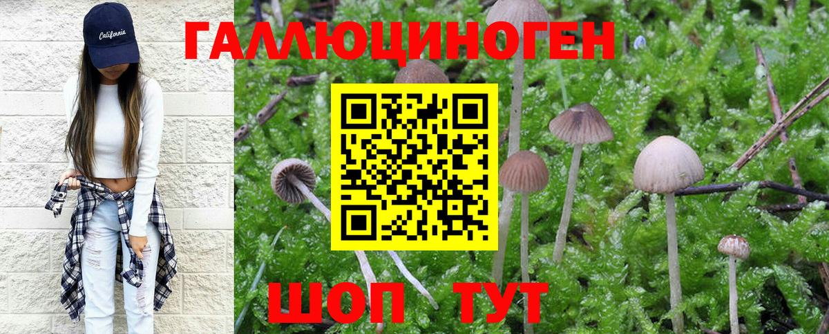 Псилоцибиновые грибы MAGIC MUSHROOMS Миллерово